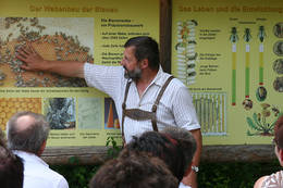 Beekeeping Kreiner guided tour