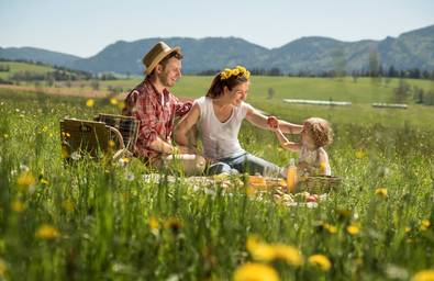 Picnic in the meadow