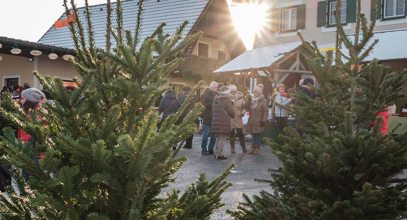 Adventmarkt beim Moarhofhechtl