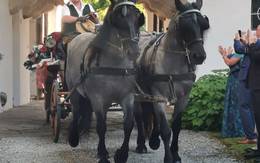 Carriage rides with the Friedl family in the Almenland Nature Park.