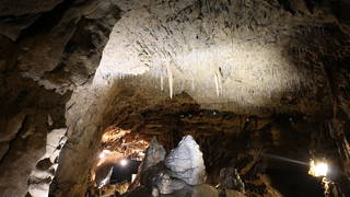 Lurgrotte Peggau / Stalactite cave / Styria