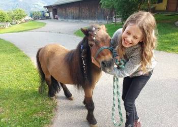 Organic farm Eibisberger Girl with pony