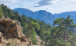 Predigtstuhl hiking trail Photo Petra Nebel