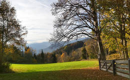 View of Nechnitz