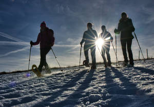 Snowshoeing / Winter hiking / Styria