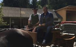 Carriage rides with the Friedl family in the Almenland Nature Park.