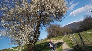 Pilgrimage route / circular route / Passail