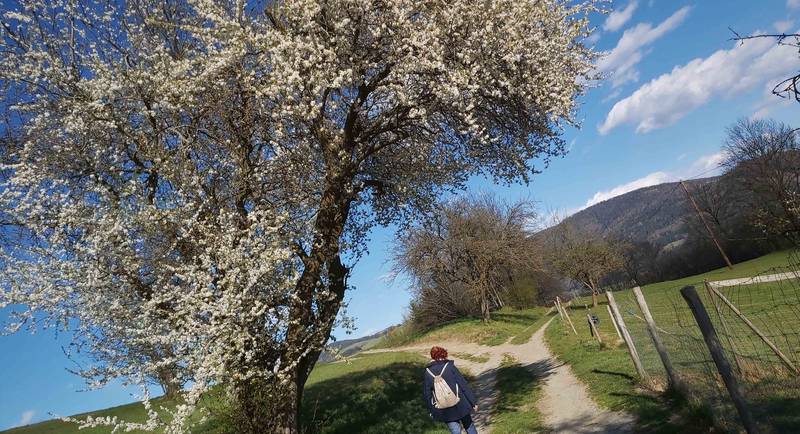 On the pilgrimage route