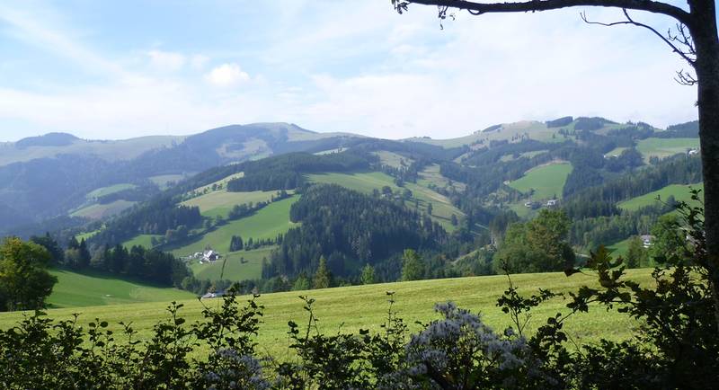 View of the Sommeralm