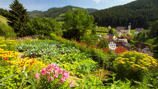 Sunnberg-Runde / Hike / Styria