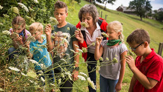 Nature education / Nature park tour / Styria