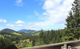 View from the Weizerhütte