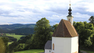 Table-top dinner / Cycling tour / Cycling vacation
