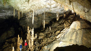 Lurgrotte Semriach / Stalactite cave / Styria