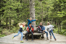 Children's moorland nature trail
