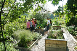 Guided tours through Aronia the Aronia World at Nickl's Aronia