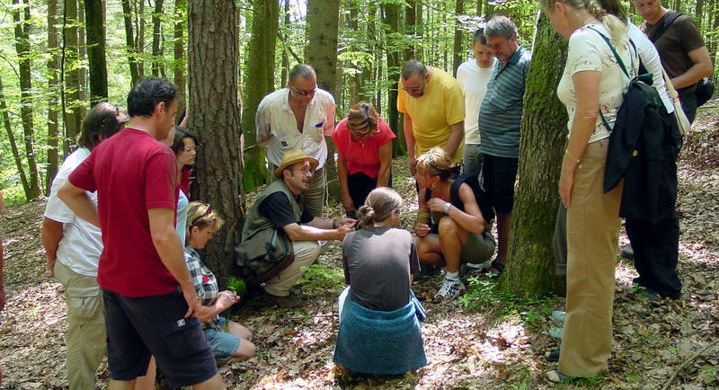 Nature mediator directly in the forest