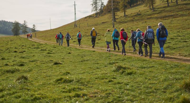 Hiking marathon