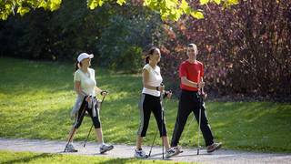 Nordic Walking / Running / Styria