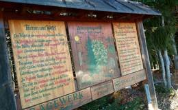 Bee nature trail display board