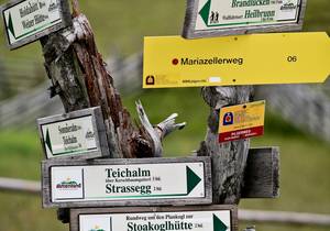 Correct behavior / Hiking / Nature park