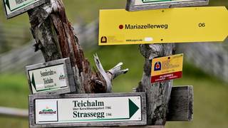 Correct behavior / Hiking / Nature park
