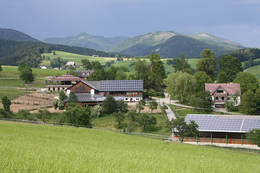 Farm Holidays at the Stockner horse farm