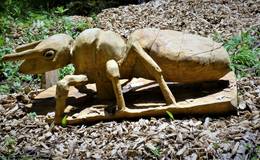 Beetle wooden sculpture trail