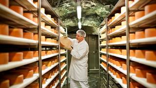 Stollen cheese & dairy products / specialties