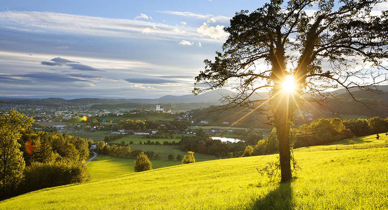 The outskirts of Weiz