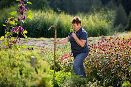 In the middle of the herb garden in Gasen