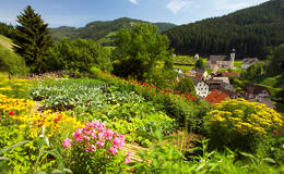 Gasen town center