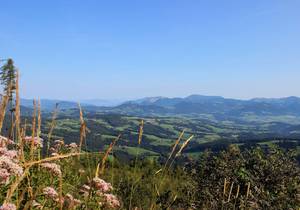 Schöckl circuit / Hiking vacation / Styria