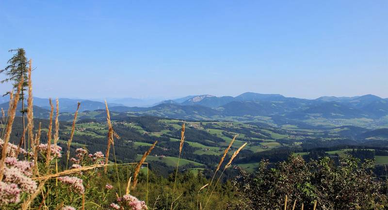 View over the nature park from the Schöckl