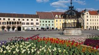 Bruck an der Mur / City / Styria