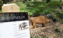 Wooden sculpture trail wild boar