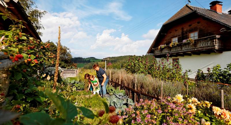 Pöllabauer herb garden high above Gasen