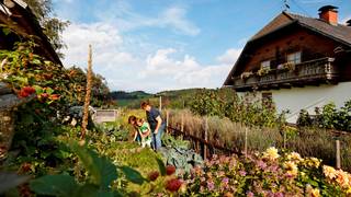 Biohof Hochegger / Nature Park / Styria