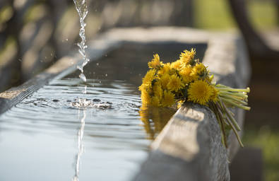 Fresh spring water