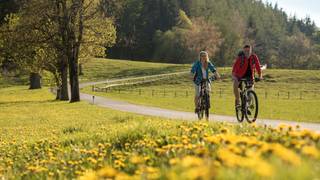 Move & Experience / Vacation / Styria