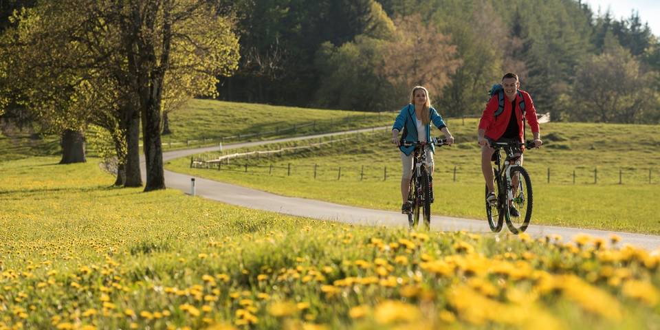 Move & Experience / Vacation / Styria