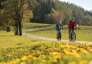 Move & Experience / Vacation / Styria