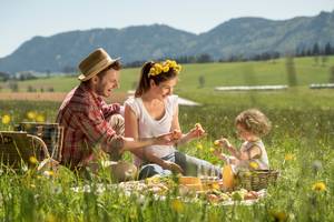 Picnic in the Almenland