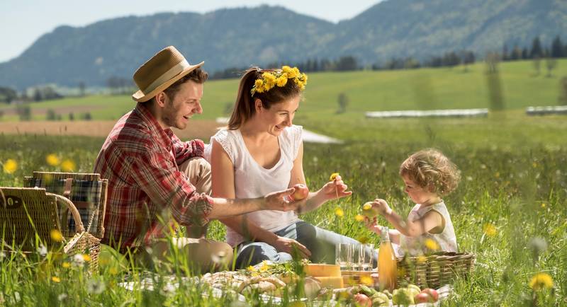 Picnic in the dandelion meadow