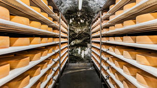 Almenland-Stollenkäse / Culinary delights / Nature park