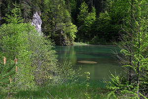 Mürzer Oberland Nature Park