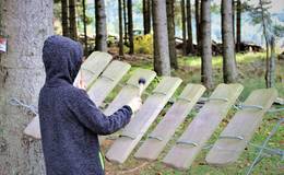 Wooden xylophone