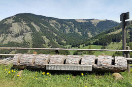 Bike stand on the Tyrnaueralm