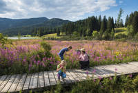 Children on the moor nature trail