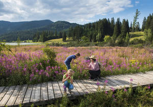 Families & themed hiking trails / Hiking / Styria
